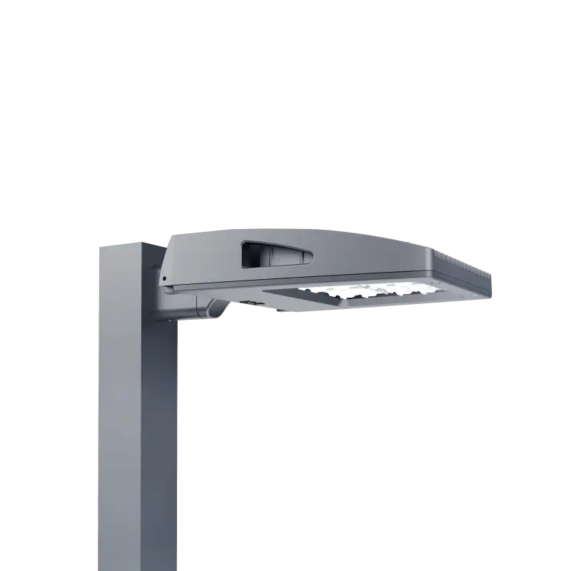 NV-1