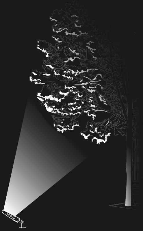 flood